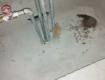 翼城卫生间测漏水价格明细