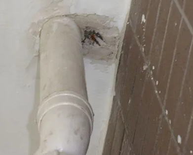 翼城漏水检测哪家好